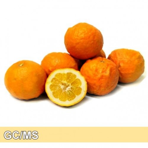 暫時停售 - Bitter Orange -苦橙